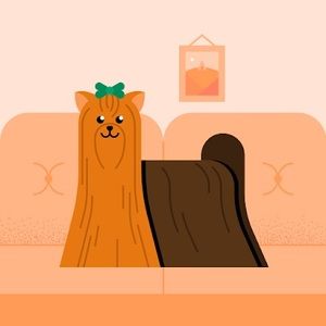 Meet your Posher, Wanda